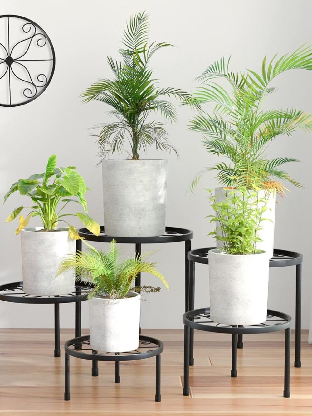 5-Pack Decent Indoor Outdoor Low Plant Shelf